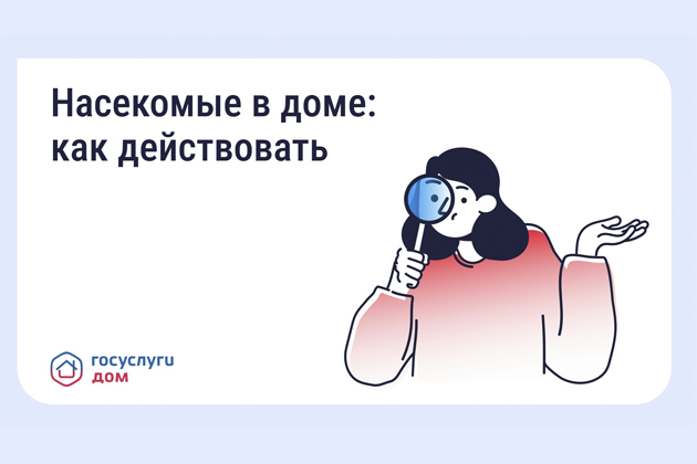 Борьба с насекомыми в многоквартирном доме